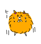 ニコニコポメラニアン（個別スタンプ：38）