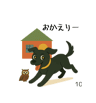 かわいい黒い犬：日常リアクション(修正版)（個別スタンプ：10）