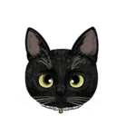 いろんな猫の顔（個別スタンプ：7）