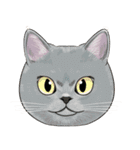 いろんな猫の顔（個別スタンプ：9）
