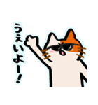 会話逸らしネコ（個別スタンプ：3）