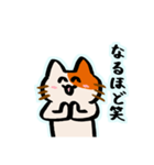 会話逸らしネコ（個別スタンプ：4）