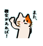 会話逸らしネコ（個別スタンプ：13）