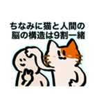 会話逸らしネコ（個別スタンプ：24）