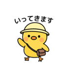 ぴよたんといっしょ vol.1 【日常編】（個別スタンプ：5）