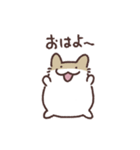 4匹のなかよしはむちゃんスタンプ（個別スタンプ：1）