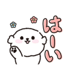 【ずっと使える】ビションフリーゼちゃん19（個別スタンプ：1）