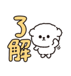 【ずっと使える】ビションフリーゼちゃん19（個別スタンプ：4）
