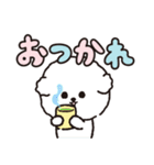 【ずっと使える】ビションフリーゼちゃん19（個別スタンプ：5）