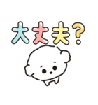 【ずっと使える】ビションフリーゼちゃん19（個別スタンプ：17）