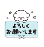 【ずっと使える】ビションフリーゼちゃん19（個別スタンプ：21）