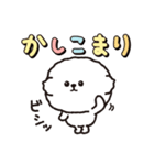 【ずっと使える】ビションフリーゼちゃん19（個別スタンプ：31）
