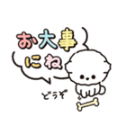 【ずっと使える】ビションフリーゼちゃん19（個別スタンプ：37）