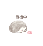ハリネズミと推し活*赤（個別スタンプ：30）