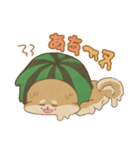 -スイカイーヌ-（個別スタンプ：3）