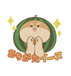 -スイカイーヌ-（個別スタンプ：4）