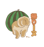 -スイカイーヌ-（個別スタンプ：8）