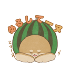 -スイカイーヌ-（個別スタンプ：12）