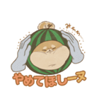 -スイカイーヌ-（個別スタンプ：13）