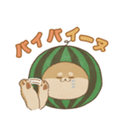 -スイカイーヌ-（個別スタンプ：14）