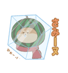 -スイカイーヌ-（個別スタンプ：16）