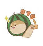 -スイカイーヌ-（個別スタンプ：17）