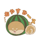 -スイカイーヌ-（個別スタンプ：19）