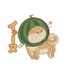 -スイカイーヌ-（個別スタンプ：20）