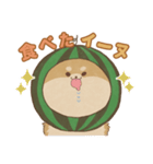 -スイカイーヌ-（個別スタンプ：21）