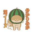 -スイカイーヌ-（個別スタンプ：24）