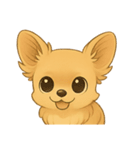 チワワちゃん。（個別スタンプ：1）