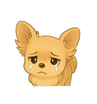 チワワちゃん。（個別スタンプ：7）
