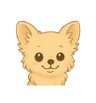 チワワちゃん。（個別スタンプ：9）