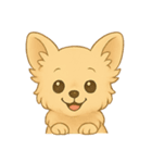 チワワちゃん。（個別スタンプ：15）