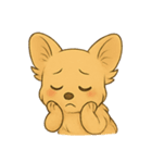 チワワちゃん。（個別スタンプ：23）
