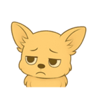 チワワちゃん。（個別スタンプ：34）