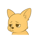 チワワちゃん。（個別スタンプ：35）