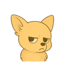 チワワちゃん。（個別スタンプ：36）