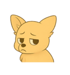 チワワちゃん。（個別スタンプ：38）