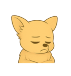 チワワちゃん。（個別スタンプ：40）