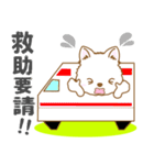【犬屋】うちの子1番(日本スピッツ)①（個別スタンプ：18）