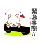 【犬屋】うちの子1番(日本スピッツ)①（個別スタンプ：19）