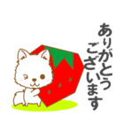 【犬屋】うちの子1番(日本スピッツ)①（個別スタンプ：36）