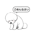 ビションフリーゼ(アフロカット)（個別スタンプ：2）