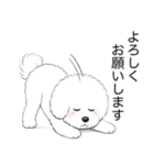 ビションフリーゼ(アフロカット)（個別スタンプ：3）