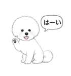 ビションフリーゼ(アフロカット)（個別スタンプ：4）