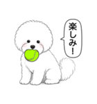 ビションフリーゼ(アフロカット)（個別スタンプ：9）