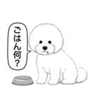 ビションフリーゼ(アフロカット)（個別スタンプ：14）