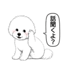 ビションフリーゼ(アフロカット)（個別スタンプ：15）
