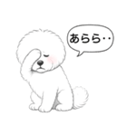 ビションフリーゼ(アフロカット)（個別スタンプ：16）